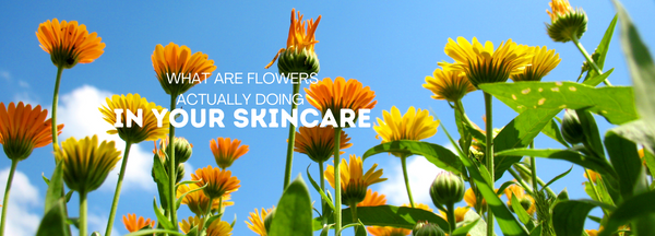 WHAT ARE FLOWERS ACTUALLY DOING IN YOUR SKINCARE. - Scrubba Body
