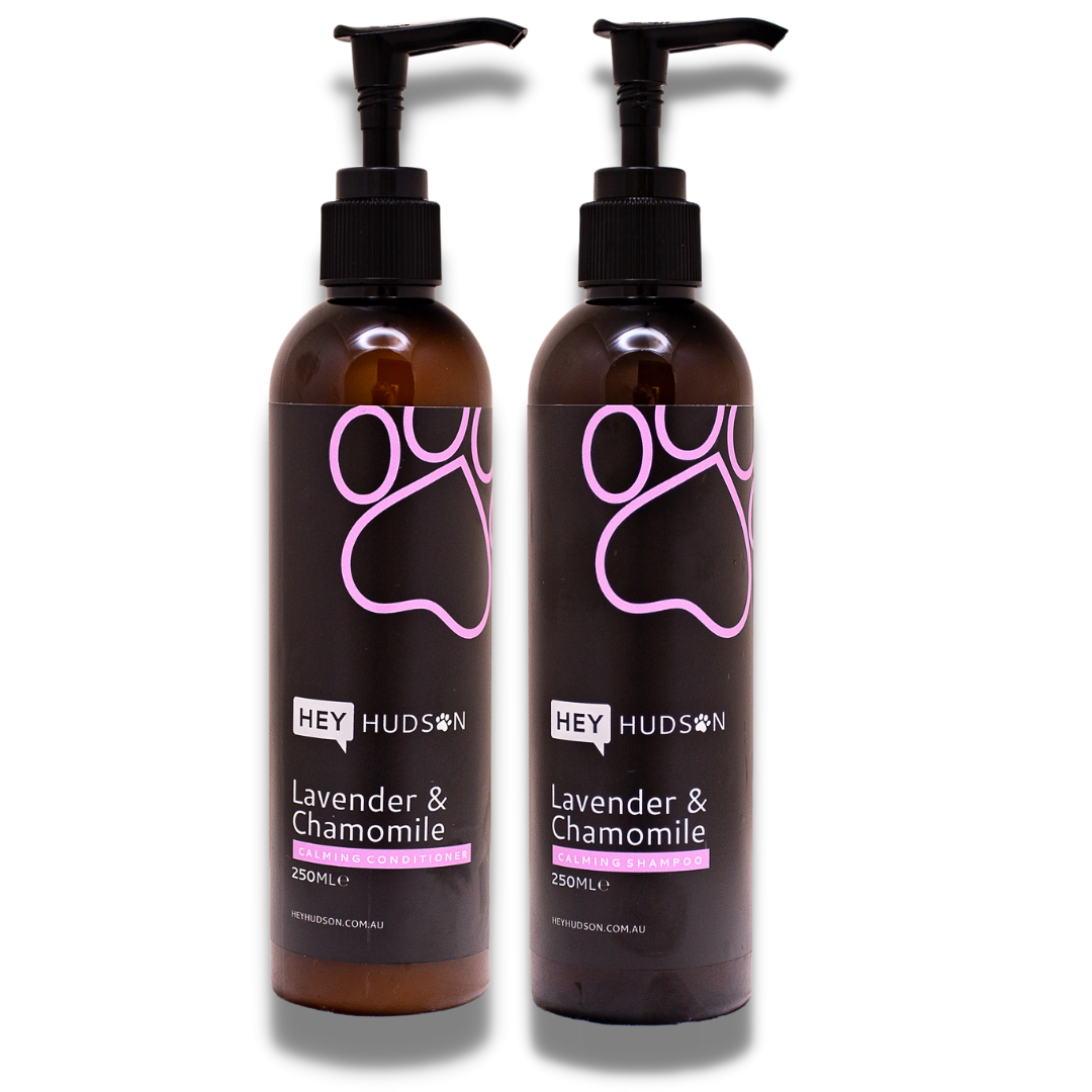 Calming Dog Shampoo + Conditioner Bundle