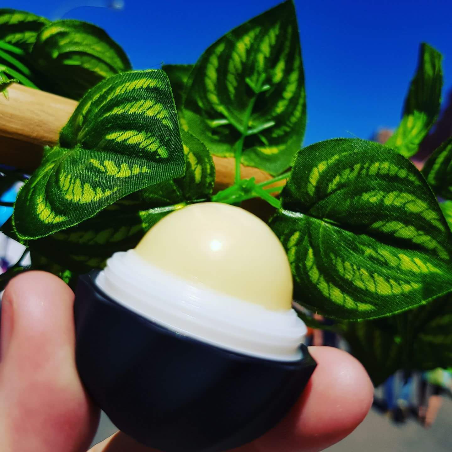 Toasted Coconut Natural Lip Balm