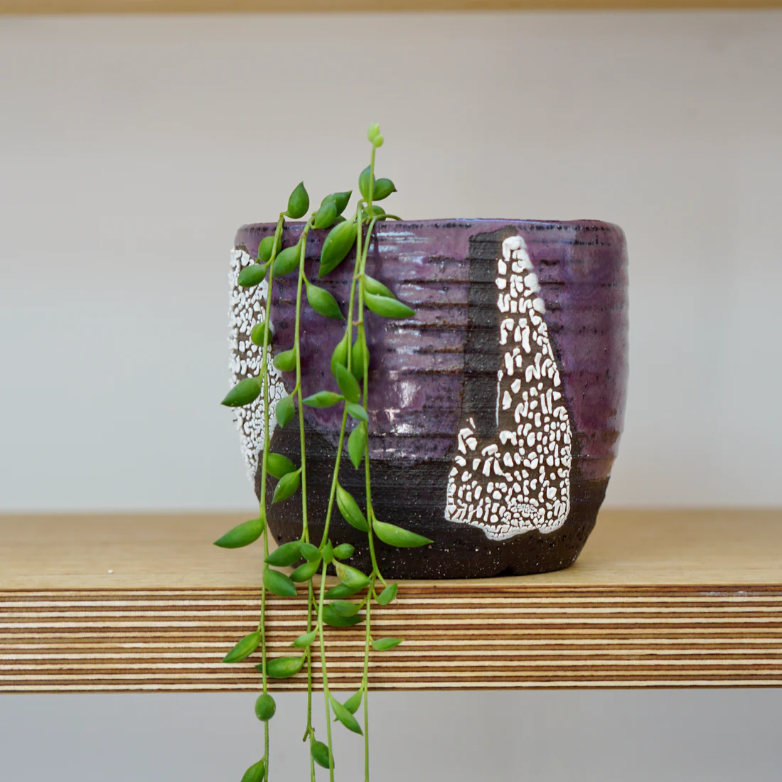 Lupy Lane Dark Matter Monet ~ Dish