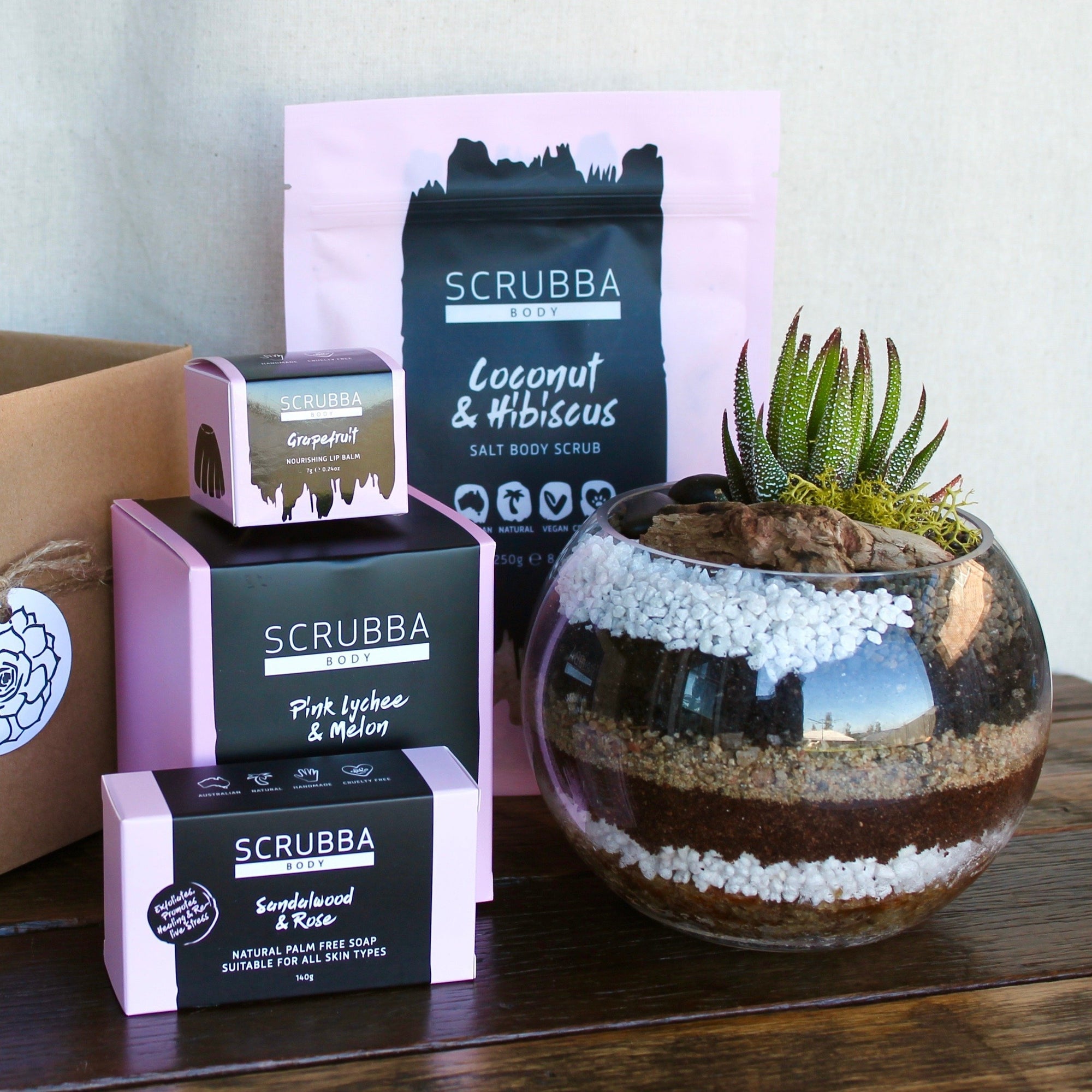 Terrarium Gift Pack - Large (Newcastle Only)