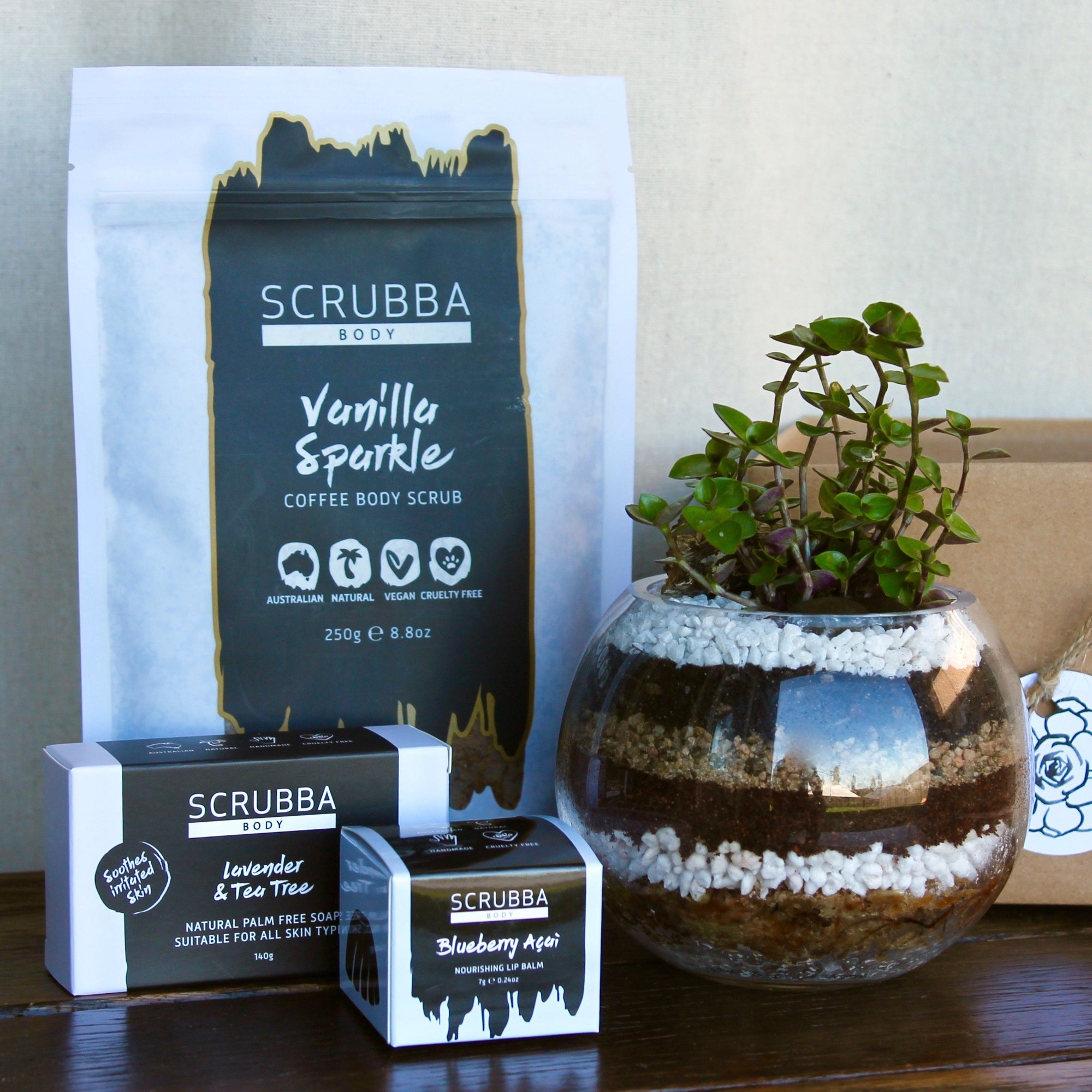 Terrarium Gift Pack - Mini (Newcastle Only)